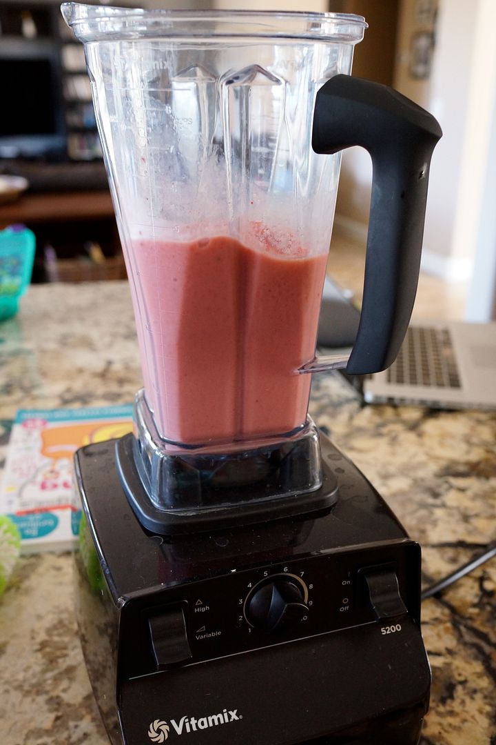 Anne's Odds and Ends Orange Julius Recipe in the Vitamix